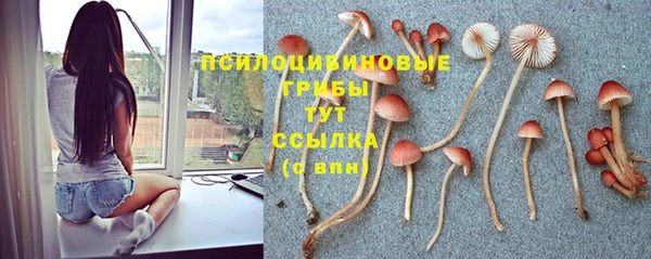 метадон Абаза