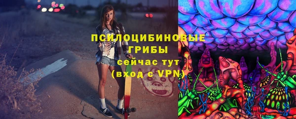 ALPHA PVP Нефтекумск