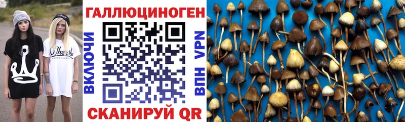 ссылка на мегу ССЫЛКА  Фокино  Галлюциногенные грибы мухоморы 